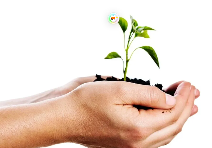 1767683464902374.png image.png